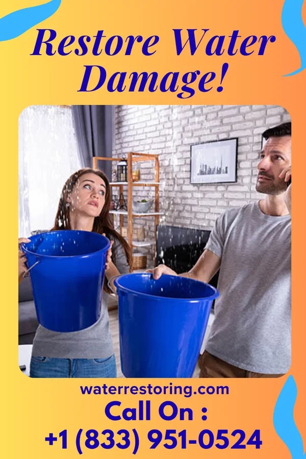water restoration Shield Water Removal Masters Gans
